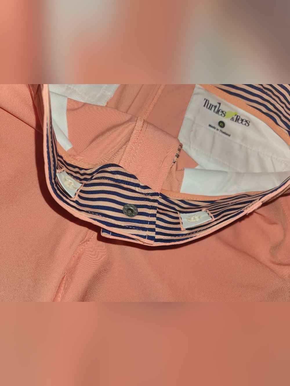 Turtle And Tees - Picture 4 of 6
